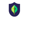 Sơn CLUX